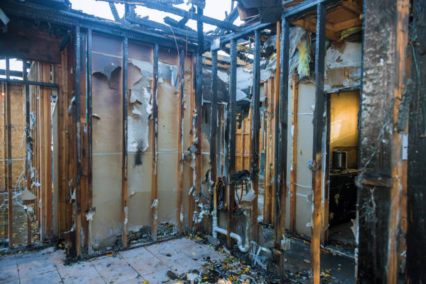 Professional Fire Damage Repair technician working in Monroe City, MO